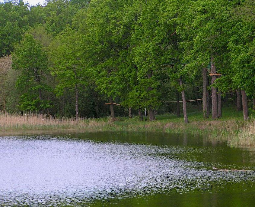 L'étang de l'île de Lezoux vu depuis le parc