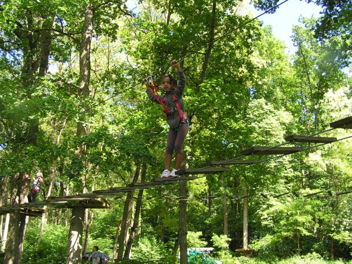 Atelier du parcours accrobranche