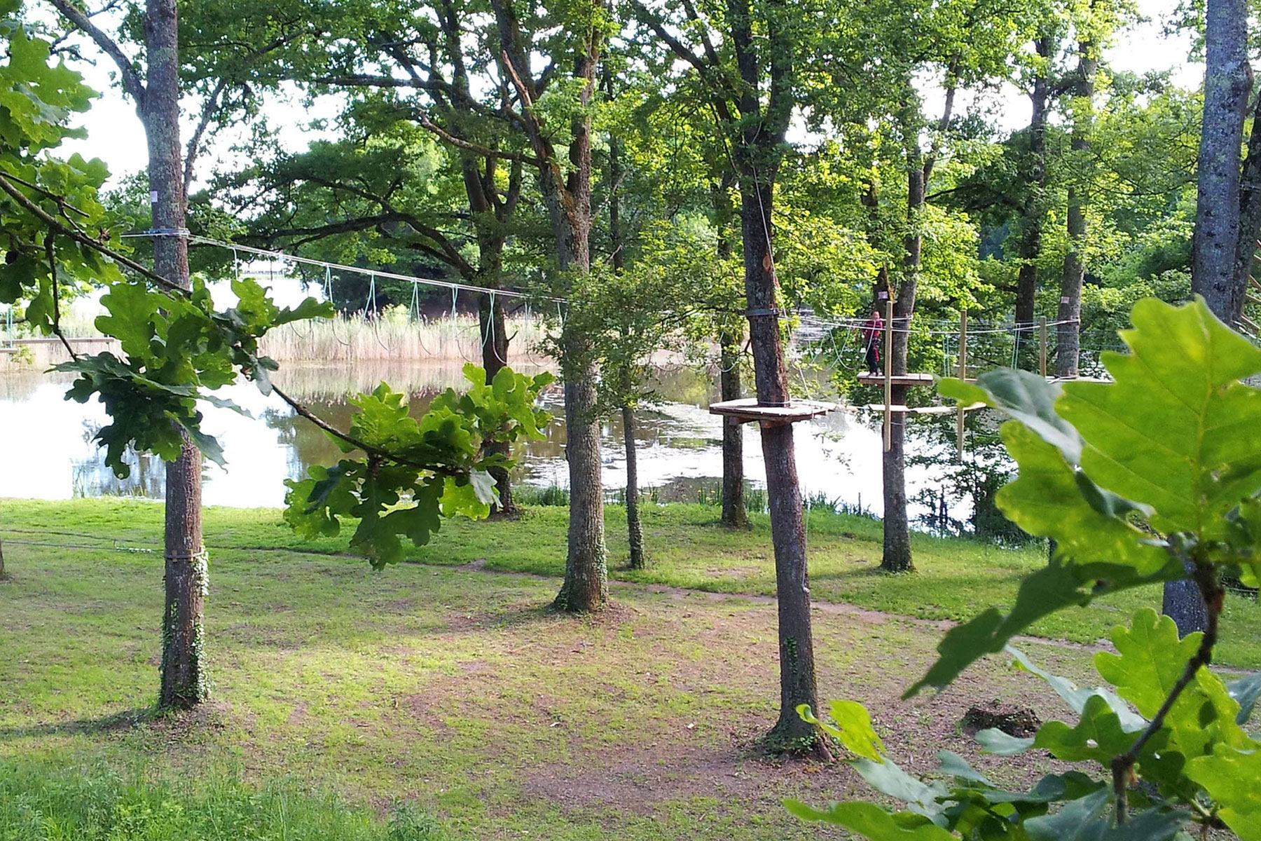 Passerelle accrobranche au-dessus de l'étang de l'île de Lezoux, entourée de chênes